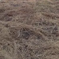 فروش زمین مسکونی