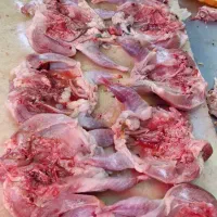 استخدام کارگر مرغ وماهی