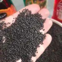 تخم شربتی خاکشیر ۲۹۰
