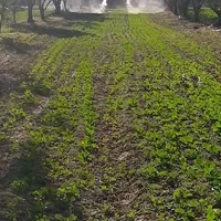 پهپاد سمپاشی هوایی پهباد