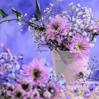 ۹۱۲۸۷۲۹۷۴۸  فروشی