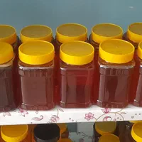 عسل مستقیم از زنبوردار|خوردنی و آشامیدنی|شیراز, تندگویان|دیوار