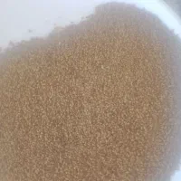 بذر یونجه بغدادی