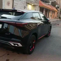 فونیکس خشک در حد گارانتی فعال