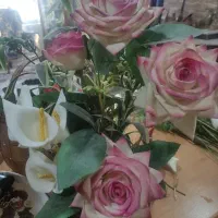 گل مصنوعی|گل مصنوعی|نور, |دیوار