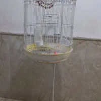 قفس پرنده