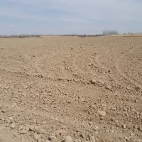 اجاره 9 هکتار زمین کشاورزی