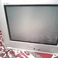 تلوزیون
