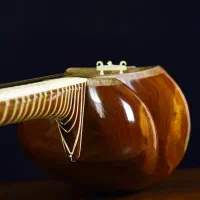 آموزش تار و سه تار