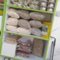 دان پرندگان زینتی مکمل دارو تقویتی قناری طوطی طیور|لوازم جانبی حیوانات|ابهر, |دیوار