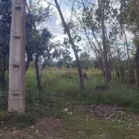 7000 متر زمین زراعی / شالیزار / مزروعی / زیبا کنار|فروش زمین و ملک کلنگی|رشت, گلسار|دیوار