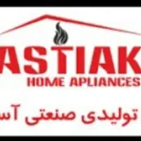 راننده نیسان