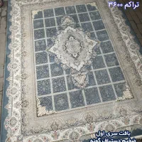 فروش انواع فرش ضخیم  تازه استوک درحدصفر