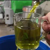روغن زیتون بکر اصل