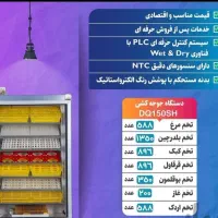 نمایندگی دستگاه جوجه کشی بلدرجین دماوند در رشت|ماشین‌آلات صنعتی|سنگر, |دیوار