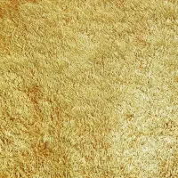 دو عدد فرش فانتزی