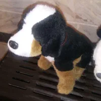 عروسک پولیشی|اسباببازی بچه|قم, شاه ابراهیم|دیوار