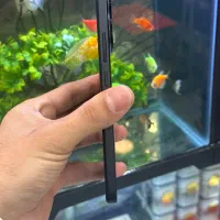 note14|موبایل|شیراز, زند|دیوار