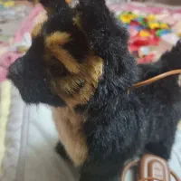 سگ راه رونده موزیکال کنترلی