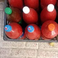 رب خانگی خوش رنگ