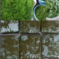 سبزی خورشتی رامهرمز