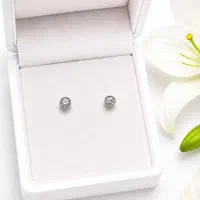 گوشواره میخی نگینی عیار ۹۲۵ نقره برف