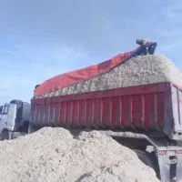 کاه نیشکر تازه|لوازم جانبی حیوانات|زهک, |دیوار