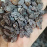 کشمش بدون هسته دم گرفته بوانات