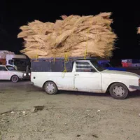 فروش عمده جارو شهرداری سیخی زیر قیمت مشهد|خدمات نظافت|مشهد, کوی المهدی|دیوار