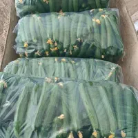 قبول انواع سفارش میوه وتره بار|خدمات پذیرایی، مراسم|کرمان, |دیوار