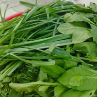 فروش سبزی آبپز  خوزستان  رامهرمز