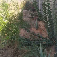 فروش-زمین-ویلایی