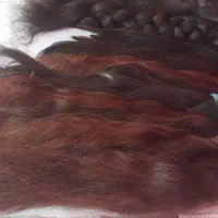 موی طبیعی|آرایشی، بهداشتی، درمانی|تهران, شکوفه (عبدل آباد)|دیوار