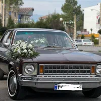 تشریفات مجالس گندم|خدمات پذیرایی، مراسم|کرمانشاه, |دیوار