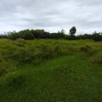 فروش یک قطعه زمین جاده انزلی|فروش زمین و ملک کلنگی|رشت, پیله داربن|دیوار