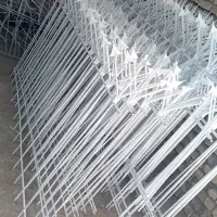 حفاظ روی دیوار. شاخ گوزنی .بوته خاری .|خدمات پیشه و مهارت|مشهد, بهار|دیوار