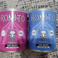 واگذاری رایگان گربه DSH|گربه|اندیشه, شهرک مریم|دیوار