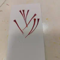 زعفران سوپرنکین اتویی|عمدهفروشی|قائن, |دیوار