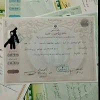 مدرک تحصیلی دیپلم تا دکترا