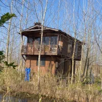 ویلای-جنگلی-خاص-با-طراحی-سوئیسی-فرصت-سرمایه-گذاری