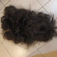 فروش کلاه گیس طبیعی|آرایشی، بهداشتی، درمانی|فردیس, شهرک ارم|دیوار