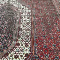 قفس سهره قناری عروس هلندی قفس|لوازم جانبی حیوانات|پردیس, فاز ۳|دیوار