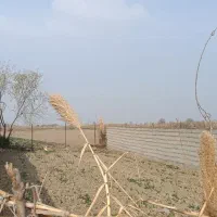 فروشی زمین روستای کماسی