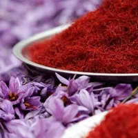 خرید و فروش گل و پیاز زعفران مرغوب