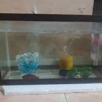 اکواریوم و وسایل