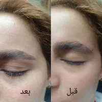 دستیار و شنیونکار حرفه ای