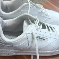 کتونی مردونه