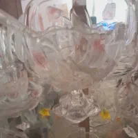 سردیس والتر نونو