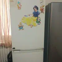 یخچال امرسان سالم استفاده می کردم