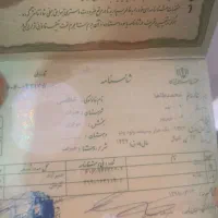 شناسنامه پیدا شده